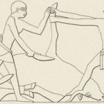 Tomb scene: butchering with a flint knife Tomb scene: butchering with a flint knife