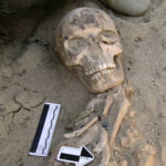 Hatmehyt Amulet Burial A rich Late Period burial at Giza