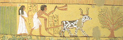 Agricultural scene, tomb of Sennedjem at Luxor Agricultural scene, tomb of Sennedjem at Luxor.