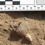 A sealing with the name of Khafre A sealing with the name of Khafre.