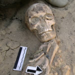 A rich Late Period burial at Giza