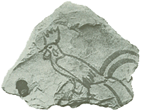 A chicken on a limestone fragment found by Howard Carter on the slope in front of Tutankhamun's tomb.